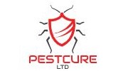 Pest Control Services in London